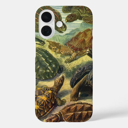 エルンスト・ヘッケルによるヴィンテージのカメとウミガメ Case-Mate iPhoneケース (裏面)