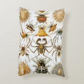 エルンスト・ヘッケルによるヴィンテージのクモまたはアラクニド アクセントクッション (裏面(縦))