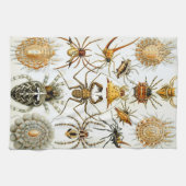エルンスト・ヘッケルによるヴィンテージのクモまたはアラクニド キッチンタオル (横)