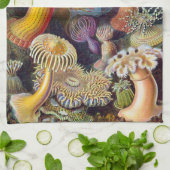 エルンスト・ヘッケルによるヴィンテージの水中イソギンチャク キッチンタオル (折り畳み)