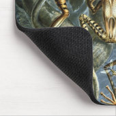 エルンスト・ヘッケルによる古生物学的両生類 マウスパッド (コーナー)