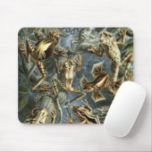 エルンスト・ヘッケルによる古生物学的両生類 マウスパッド (マウス)