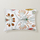 エルンスト・ヘッケルによる古生物学的海洋動物、コペポダ アクセントクッション (正面)