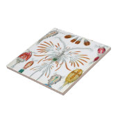 エルンスト・ヘッケルによる古生物学的海洋動物、コペポダ タイル (側面)