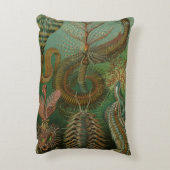 エルンスト・ヘッケルによる古生物学的環形動物 チャエトポダ アクセントクッション (裏面(縦))