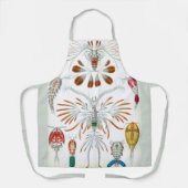 エルンスト・ヘッケルによる古風な海洋動物、コペポダ エプロン (正面)