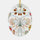 エルンスト・ヘッケルによる古風な海洋動物、コペポダ セラミックオーナメント (正面)