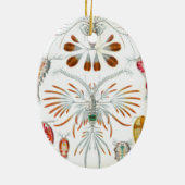 エルンスト・ヘッケルによる古風な海洋動物、コペポダ セラミックオーナメント (裏面)