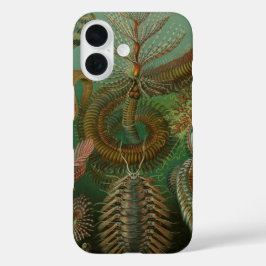 エルンスト・ヘッケルによる古風な環形動物 チャエトポダ iPhone 16ケース