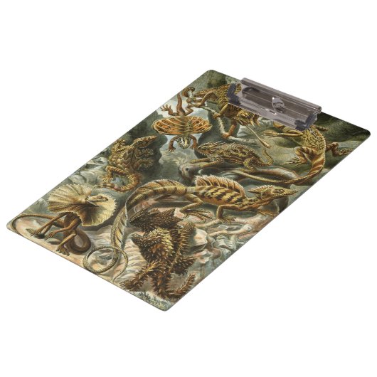 エルンスト・ヘッケルによる爬虫類 ラセリティリア 動物のヴィンテージイラスト クリップボード (アングル)