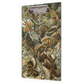 エルンスト・ヘッケルによる爬虫類 ラセリティリア 動物のヴィンテージイラスト クリップボード (左)