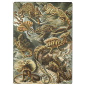 エルンスト・ヘッケルによる爬虫類 ラセリティリア 動物のヴィンテージイラスト クリップボード (裏面)