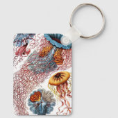 エルンスト・ヘッケルによる『Discomedusae』、ビンテージのクラゲ キーホルダー (裏面)