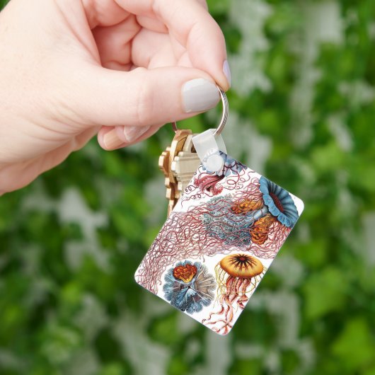 エルンスト・ヘッケルによる『Discomedusae』、ビンテージのクラゲ キーホルダー (手)