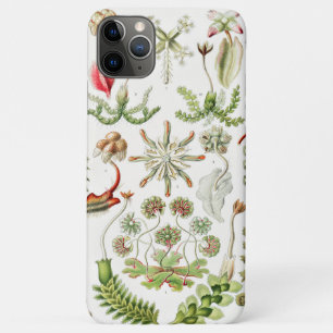 エルンスト・ヘッケルによるHepaticae Lebermoose iPhone 11 Pro Maxケース