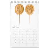 エルンスト・ヘッケルのあるスケッチのカレンダー カレンダー (3月 2026)