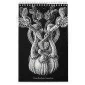 エルンスト・ヘッケルのあるスケッチのカレンダー カレンダー (カバー)
