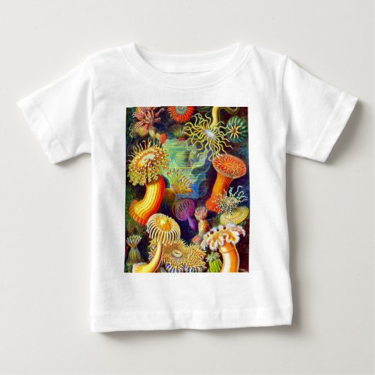エルンスト・ヘッケルのいそぎんちゃく ベビーTシャツ (正面)