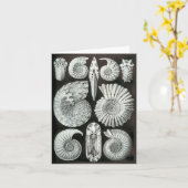 エルンスト・ヘッケルのアンモナイト カード (黄色い花)