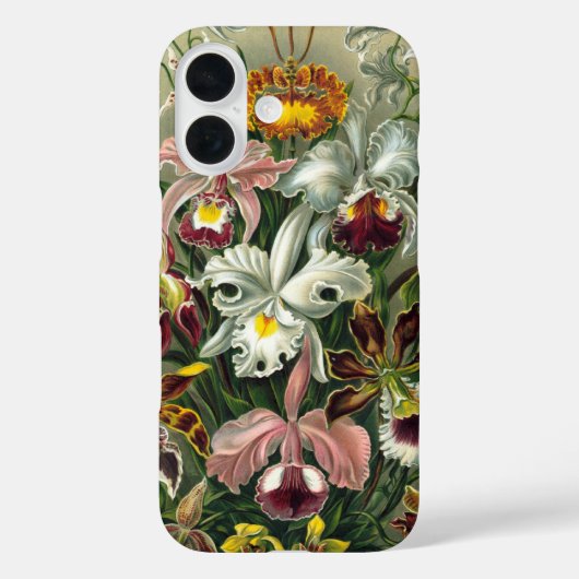 エルンスト・ヘッケルのオルキデア、ヴィンテージの熱帯雨林の花 Case-Mate iPhoneケース (裏面)