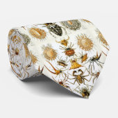 エルンスト・ヘッケルのクモ綱のイラストレーションの昆虫学 ネクタイ (ロール)