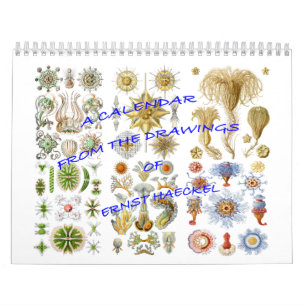 エルンスト・ヘッケルのスケッチからのカレンダー カレンダー