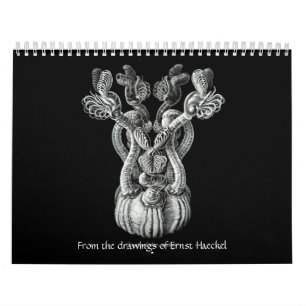 エルンスト・ヘッケルのスケッチからのカレンダー。 カレンダー