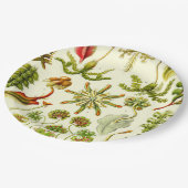 エルンスト・ヘッケルのゼニゴケ類 ペーパープレート (アングル)