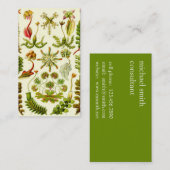 エルンスト・ヘッケルのゼニゴケ類 名刺 (正面/裏面)