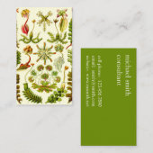 エルンスト・ヘッケルのゼニゴケ類 名刺 (正面/裏面)