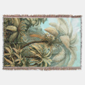 エルンスト・ヘッケルのフィリシナ空白のエ スローブランケット (正面)