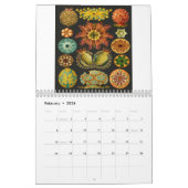 エルンスト・ヘッケルのプリント カレンダー (2月 2026)