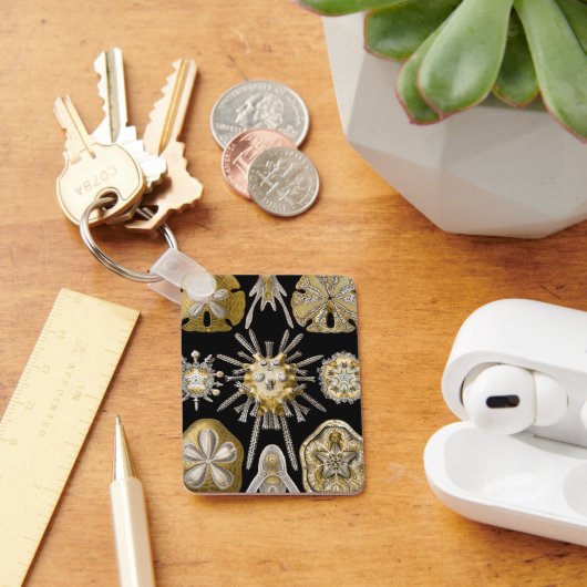 エルンスト・ヘッケルのヴィンテージのウニとサンド・ダラー キーホルダー (デスク)