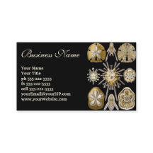 エルンスト・ヘッケルのヴィンテージのウニとサンド・ダラー