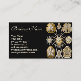 エルンスト・ヘッケルのヴィンテージのウニとサンド・ダラー 名刺