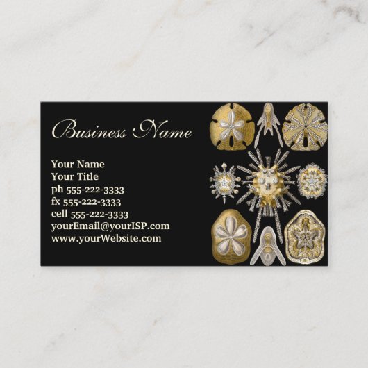 エルンスト・ヘッケルのヴィンテージのウニとサンド・ダラー 名刺 (正面)