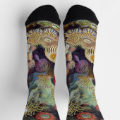 エルンスト・ヘッケルのヴィンテージのウミベニゴケ ソックス (上部)