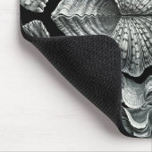 エルンスト・ヘッケルのヴィンテージの貝のマウスパッド マウスパッド (コーナー)