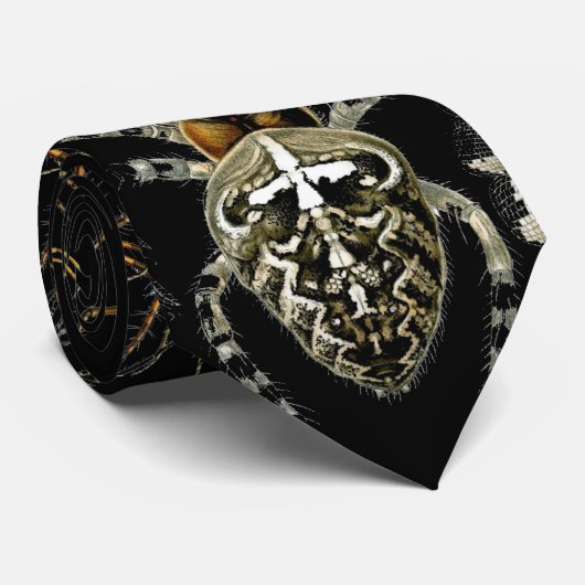 エルンスト・ヘッケルのヴィンテージアーティストクモ ネクタイ (ロール)