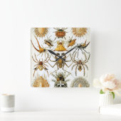 エルンスト・ヘッケルのヴィンテージクモまたはアラクニド スクエア壁時計 (ホーム)