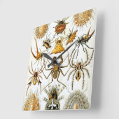 エルンスト・ヘッケルのヴィンテージクモまたはアラクニド スクエア壁時計 (傾斜)