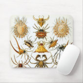 エルンスト・ヘッケルのヴィンテージクモまたはアラクニド マウスパッド (マウス)