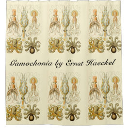 エルンスト・ヘッケルのヴィンテージ・オクトパス・イカ・ガモクォニア シャワーカーテン