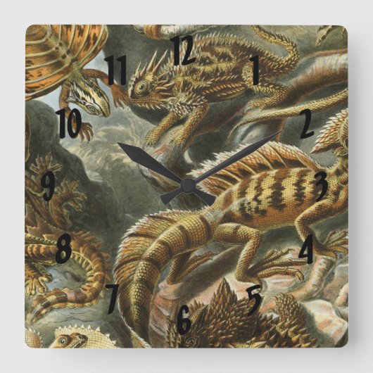エルンスト・ヘッケルの古いファッションのイラストレーションLacertilia スクエア壁時計 (正面)
