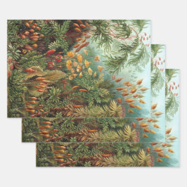 エルンスト・ヘッケルの古生物学的コケ植物、モス・プランツ ラッピングペーパーシート