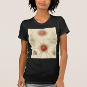 エルンスト・ヘッケルの放散虫 Tシャツ (正面)