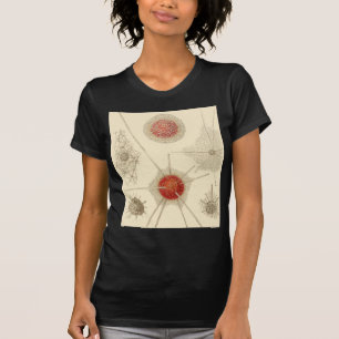 エルンスト・ヘッケルの放散虫 Tシャツ