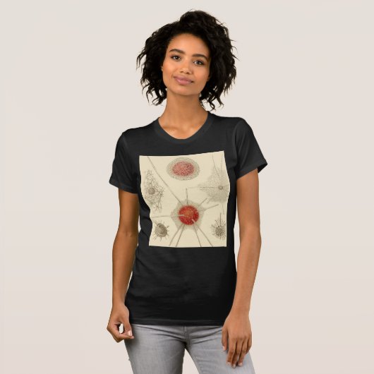 エルンスト・ヘッケルの放散虫 Tシャツ (正面フル)