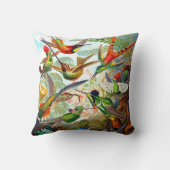 エルンスト・ヘッケルの枕の1904年のハチドリのプリント クッション (裏面)