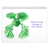 エルンスト・ヘッケルの植物のカレンダー カレンダー (カバー)